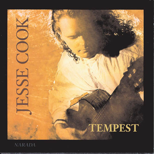 cover: Dance Of Spring, Jesse Cook, Gitarre