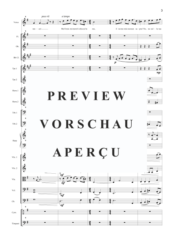 Produktgalerie: Seite 6 von 11 Nessun Dorma, , Tenor Solo und Orchester