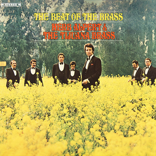 cover: This Guy's In Love With You, Herb Alpert & The Tijuana Brass, Gesang, Gitarre, Klavier