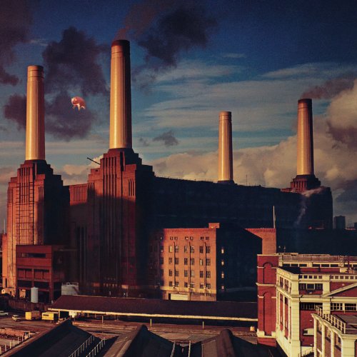 cover: Dogs, Pink Floyd, Gitarre