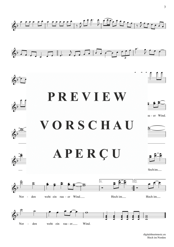 Product gallery: Page 4 of 4 Hoch Im Norden, Santiano, (transverse flute)