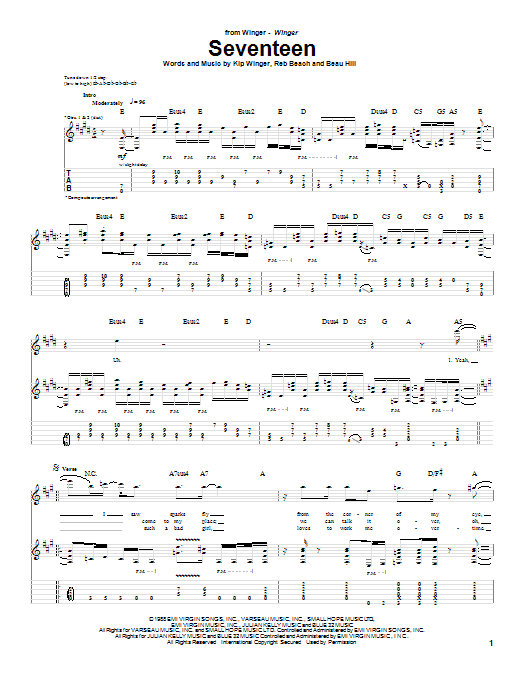 Produktgalerie: Seite 1 von 1 Seventeen, Winger, Gitarre