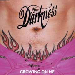 cover: How Dare You Call This Love?, The Darkness, Gesang, Gitarre