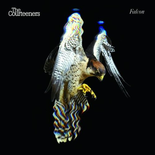 cover: Take Over The World, The Courteeners