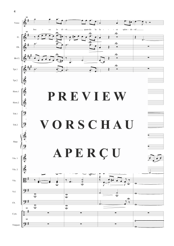 Produktgalerie: Seite 7 von 11 Nessun Dorma, , Tenor Solo und Orchester