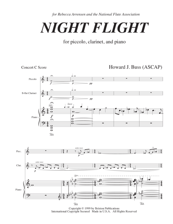 Product picture to: Night Flight Howard J. Buss 
