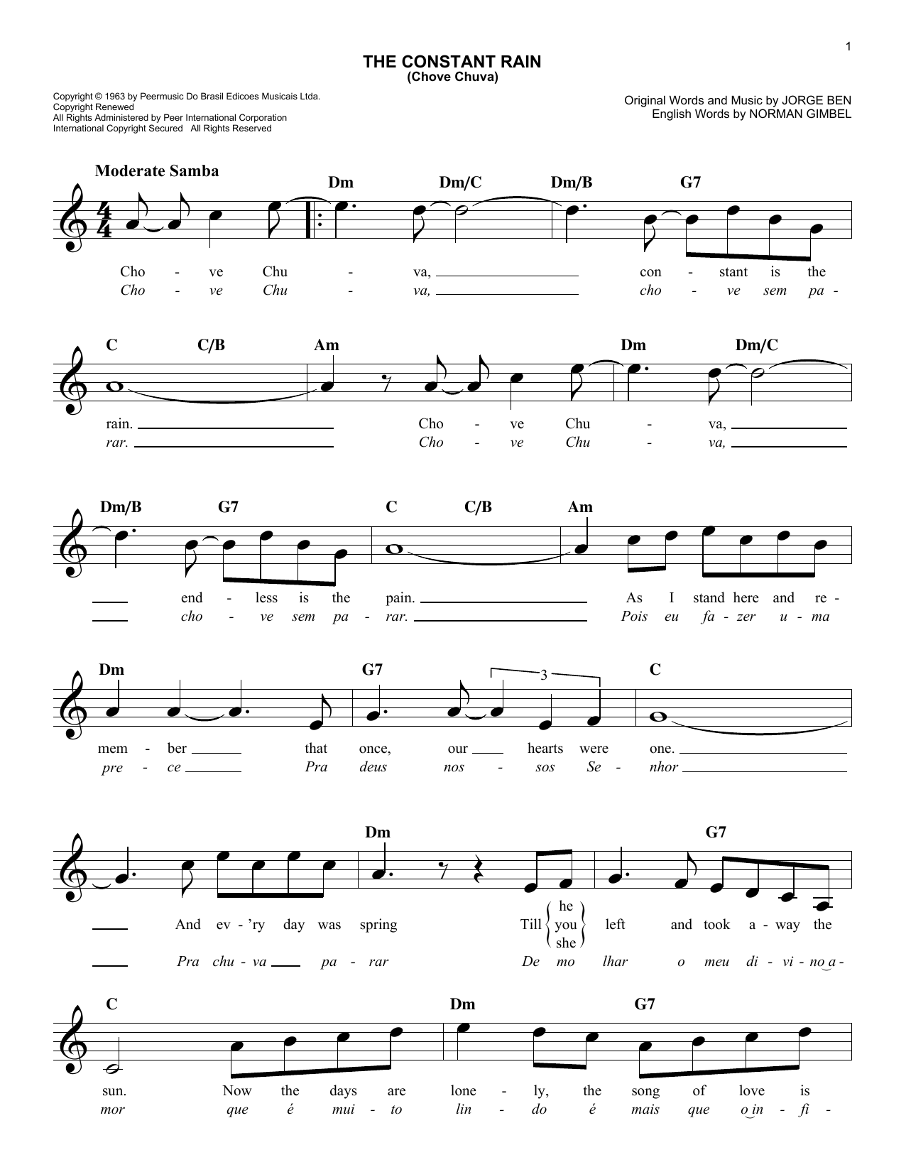 Product picture to:  The Constant Rain (Chove Chuva) - 