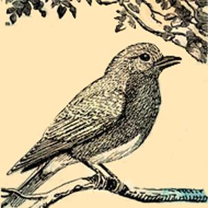 cover: Sweet I Sing, Robert I. Hugh, Chor