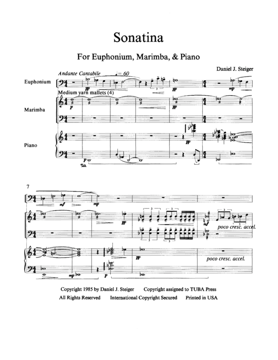 Produktbild zu: Sonatina Daniel Steiger