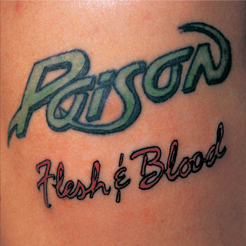 cover: Something To Believe In, Poison, Gitarre