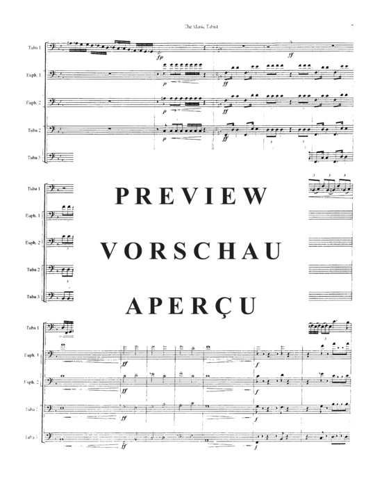 Product gallery: Page 11 of 21 The Manic Tubist , , (Tuba Quartett EETT + Tuba Solo)