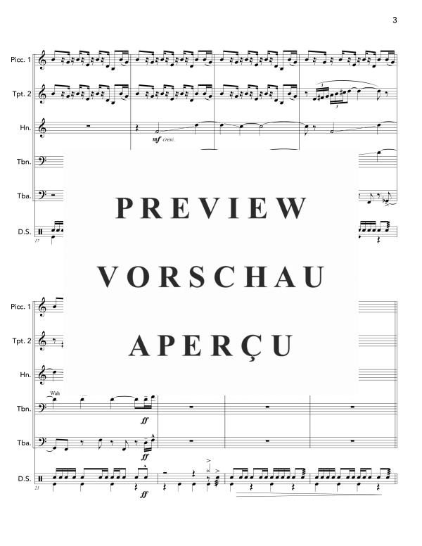 Produktgalerie: Seite 7 von 11 Peacockery, , (Blechbläser Quintett und Drum Set)