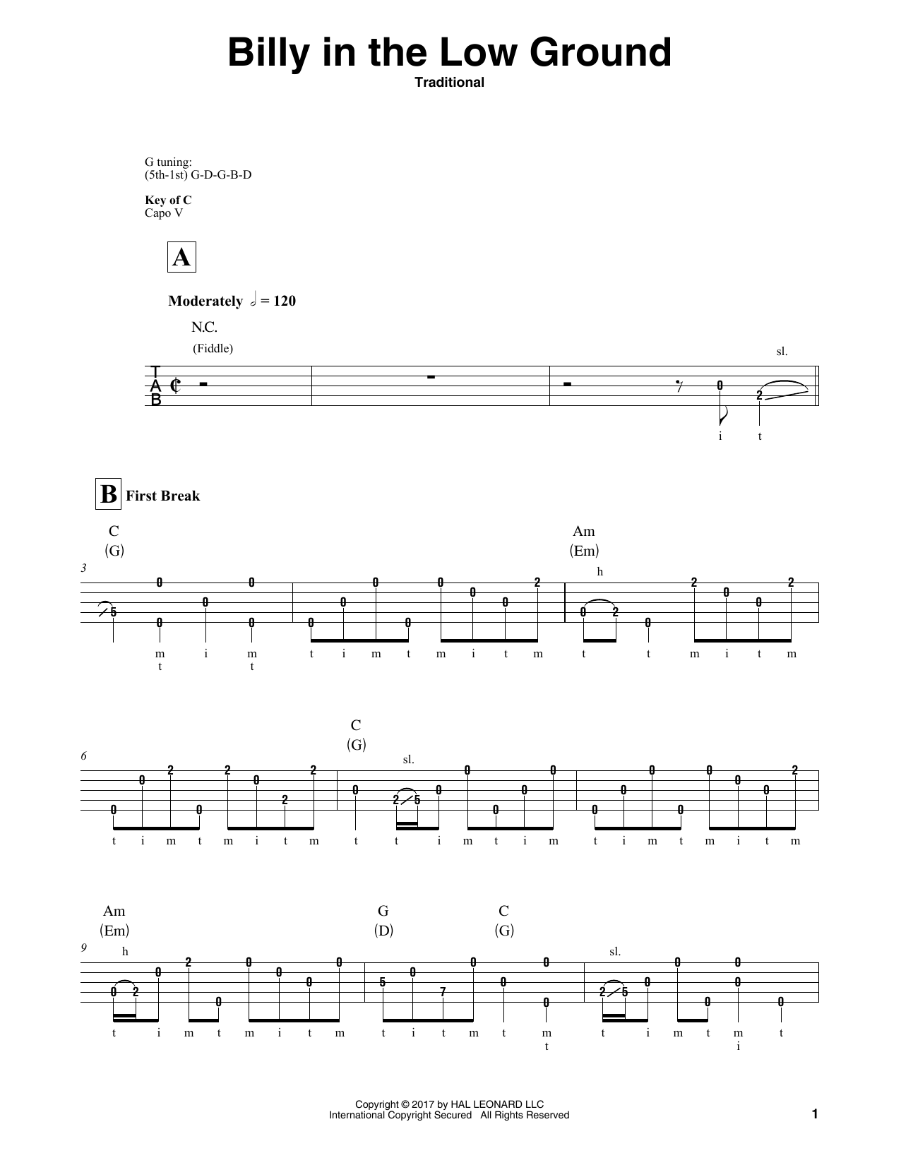 Produktgalerie: Seite 1 von 1 Billy In The Low Ground, Traditional, Banjo
