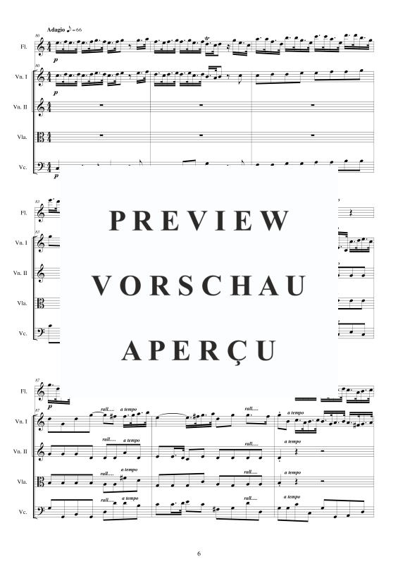 Produktgalerie: Seite 7 von 11 Concerto No.5 to 5 in A-Moll Op.5, , Querflöte Solo und Streicher Ensemble