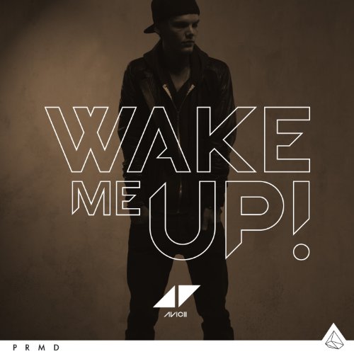 Product picture to: Wake Me Up! (arr. Deke Sharon)