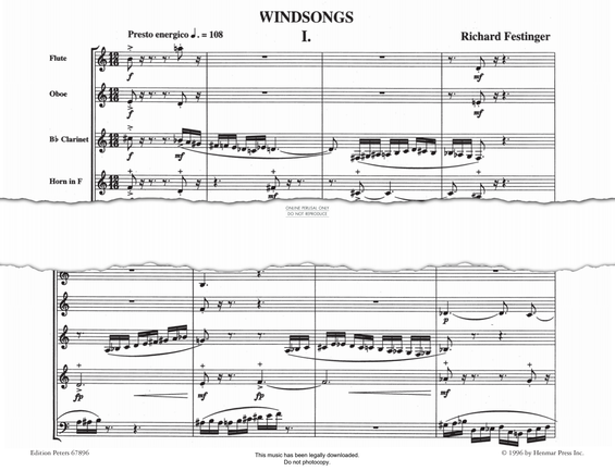 gallery: Windsongs, Richard Festinger, Quintett