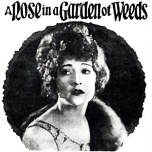 cover: A Rose In A Garden Of Weeds, Hubert W. David