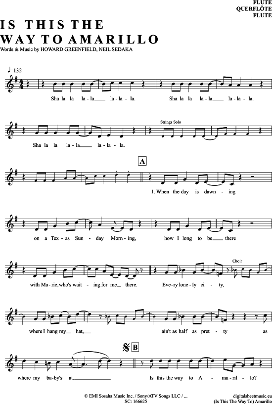 Product picture to: Is This The Way To Amarillo Hermes House Band/Tony Christie