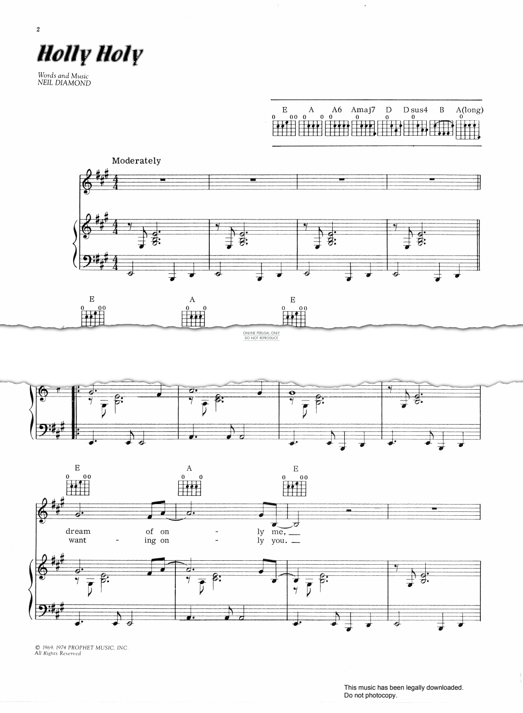 Produktbild zu: Holly Holy