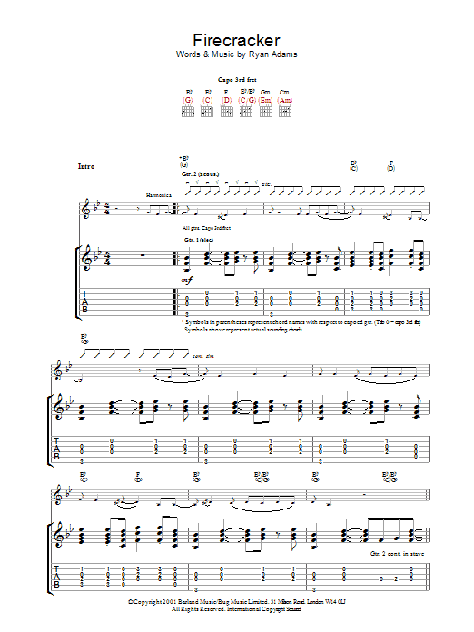 Produktgalerie: Seite 1 von 1 Firecracker, Ryan Adams, Gitarre