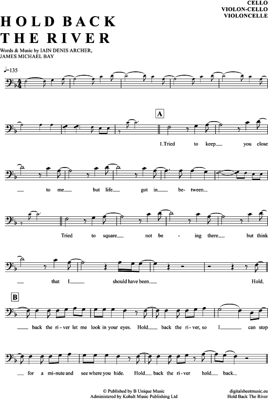 Produktgalerie: Seite 1 von 4 Hold back the river , Bay, James, (Violon-Cello)