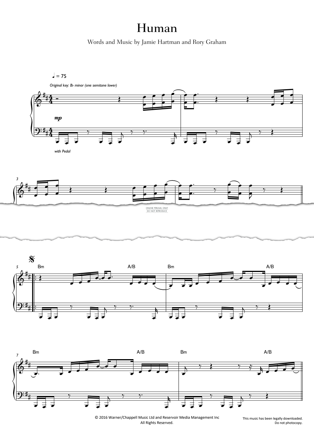 gallery: Human, Rag'n'Bone Man, Klavier