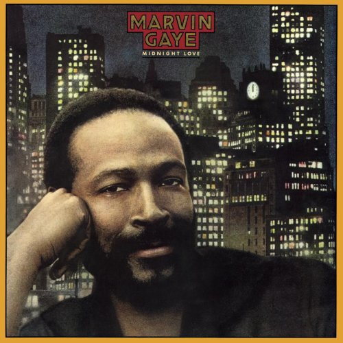 cover: Sexual Healing, Marvin Gaye