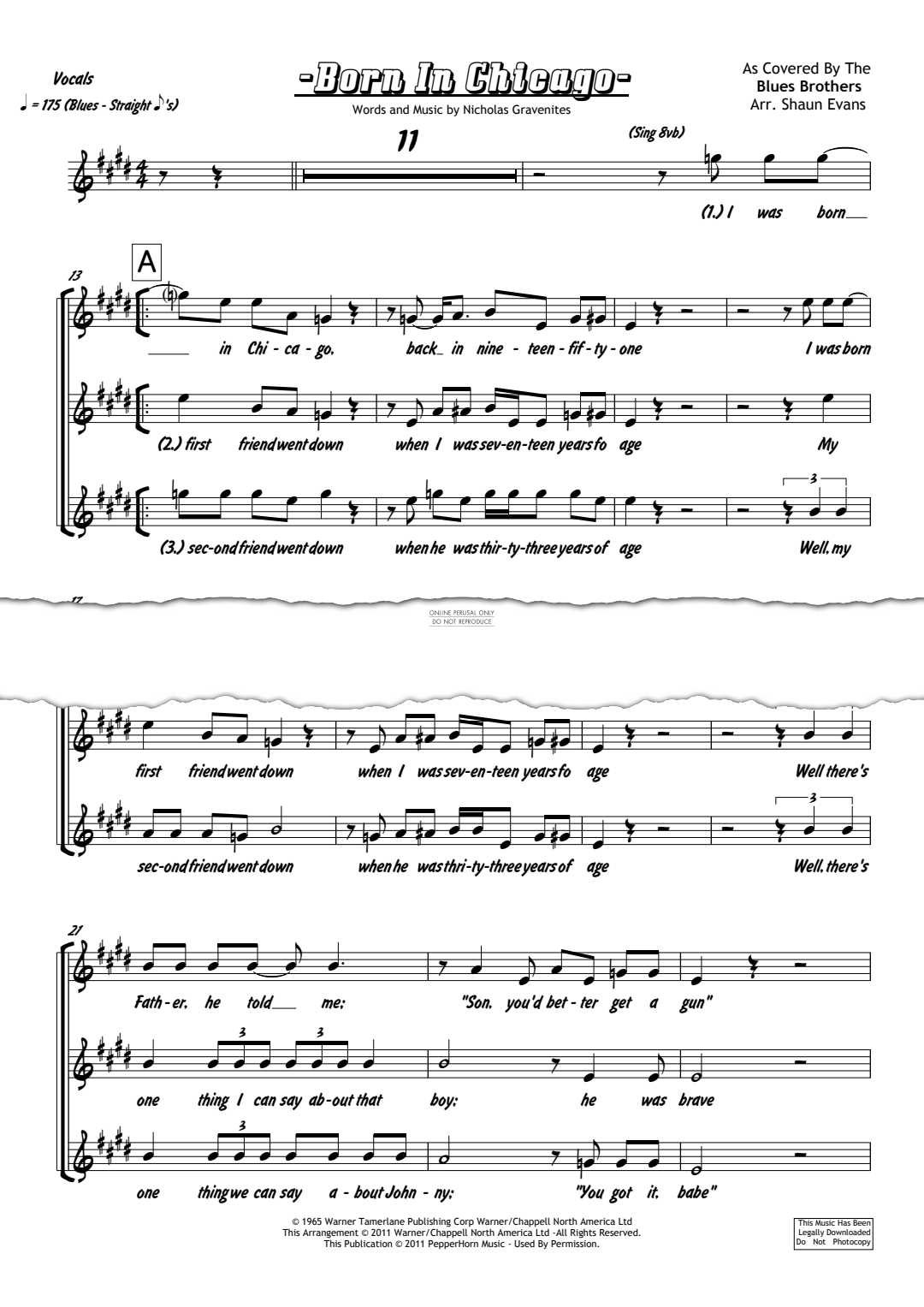 Product gallery: Page 1 of 1 Born In Chicago, The Blues Brothers