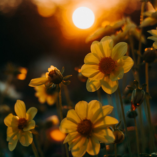 cover: I Miss That Time, Austin Farwell, Klavier